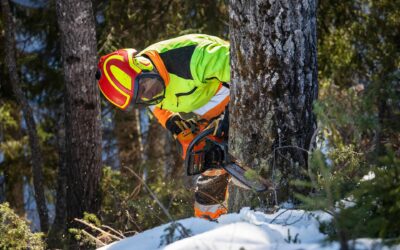 Oulun Seudun Sähkön työntekijät turvaliivissä ja kypärässä metsässä puunkaadossa.