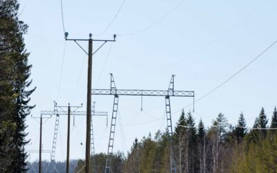 Kuvassa sähkölinjat metsän keskellä.